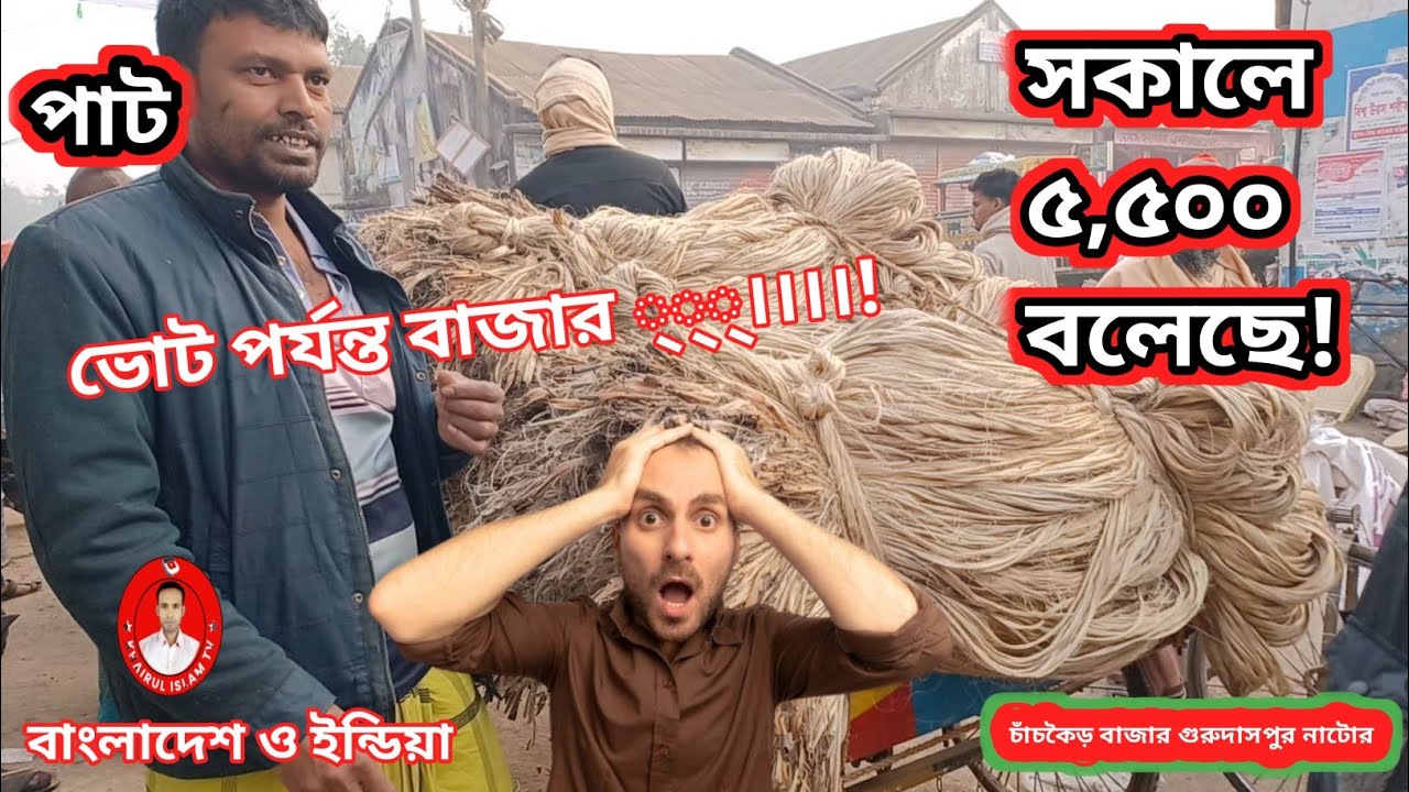 আজকের পাটের দাম ও বিশাল আপডেট | ২৪-০১-২৬ | চাঁচকৈড় বাজার | গুরুদাসপুর নাটোর