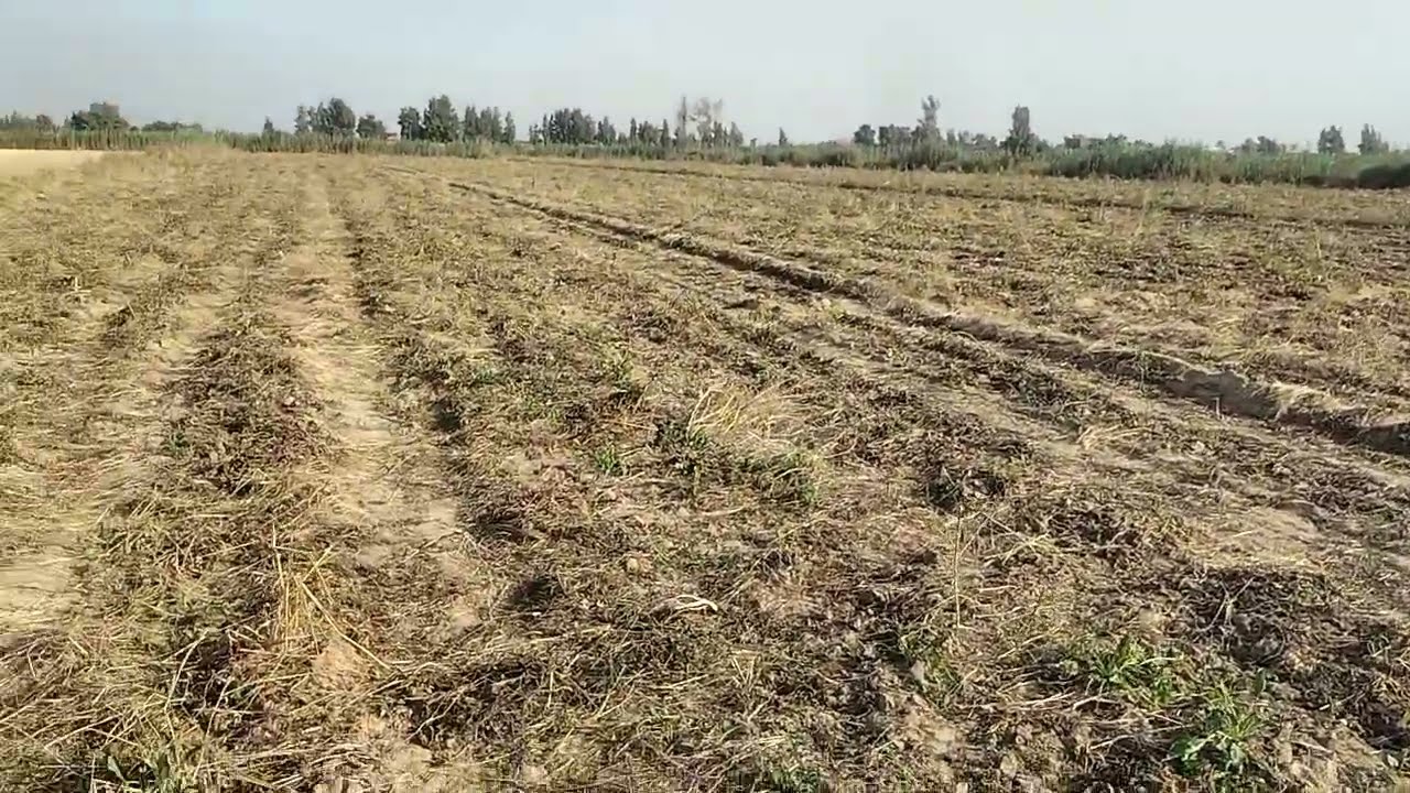 قطعة ارض زراعيه 10فدادين فرصة من دهب أرض زراعية ممتازه كل التفاصيل داخل الفيديو والسعر كمان