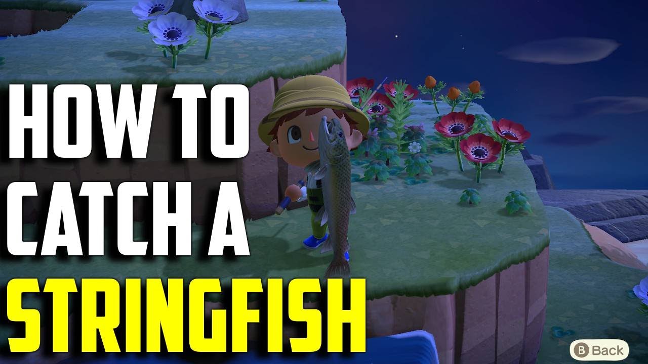 How to Catch a Stringfish | Stringfish ACNH | Animal Crossing New Horizons Stringfish | Stringfish