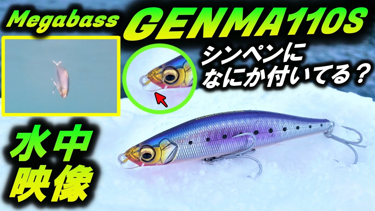 【メガバス ゲンマ 110S】ルアー 水中映像。プレート付きシンペンのアクション！Megabass GENMA110S