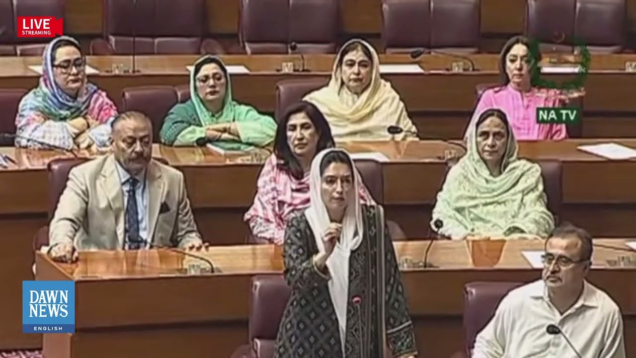 Full Speech: PPP’s Aseefa Bhutto says Pakistani People deserve a 'better budget' | DAWN News English