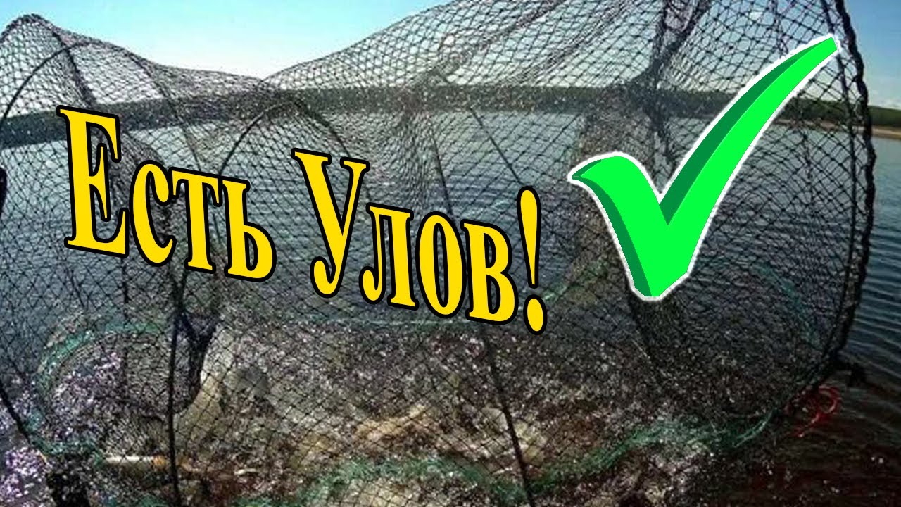 РЫБАЛКА НА МОРДУШКУ ВЕРШ! Отличный улов! Много щуки и карася