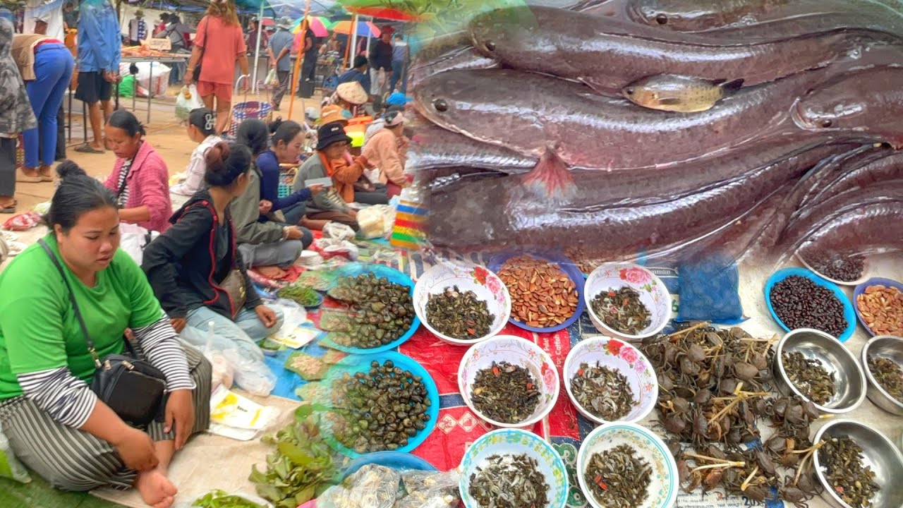 บรรยากาศการค้าขาย #ตลาดบ้านกนาดจ.นครพนม อาหารพื้นไทย-ลาว สุดยอดของกิน #ของป่า #ตลาดสด #เที่ยวตลาด 
