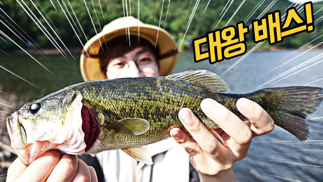 대왕 '배스' 잡다! 무시무시한 큰 입..