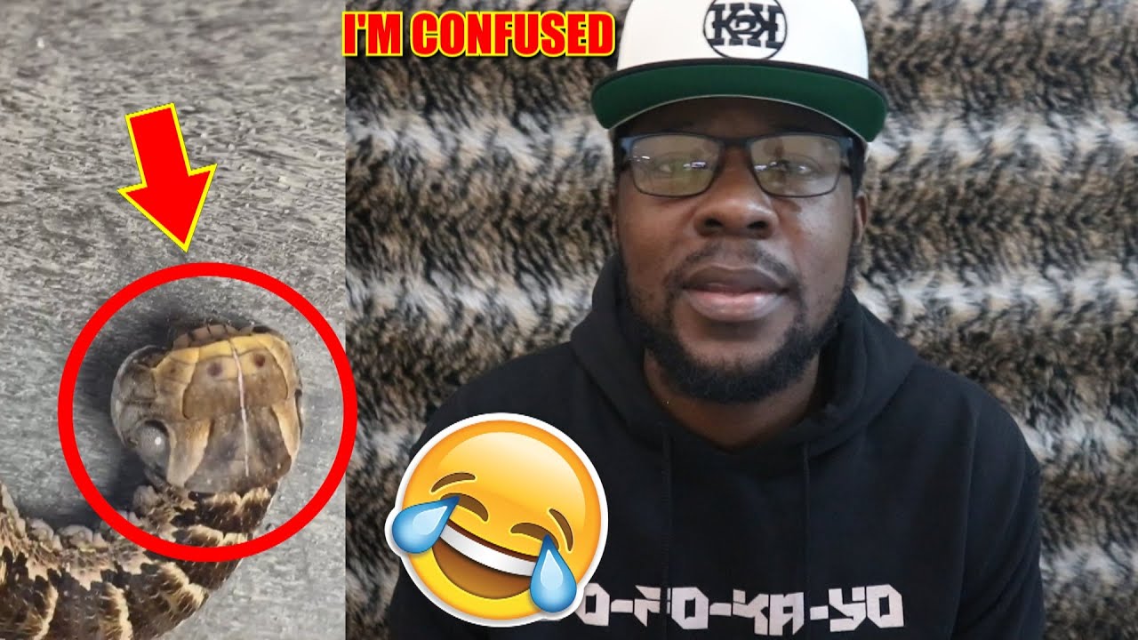 Это не змея... Я ДУМАЮ 🤔🤔🤔 [K2K REACTION S9 Ep #18]