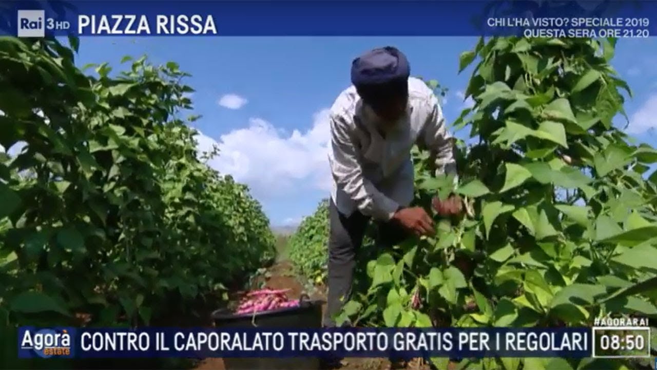 Contro il caporalato trasporto gratis per i regolari - Agorà Estate 17/07/2019