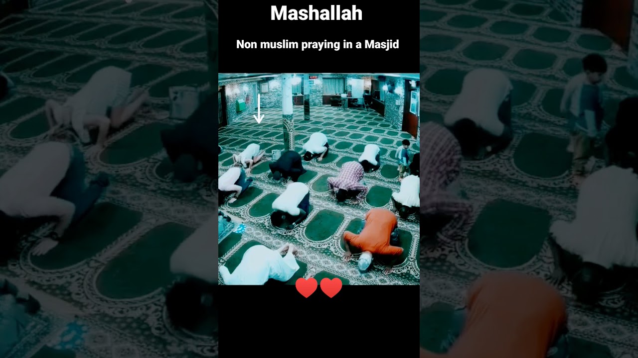 mashallah ❤️ non muslim come inside masjid #islamic #islam #shorts