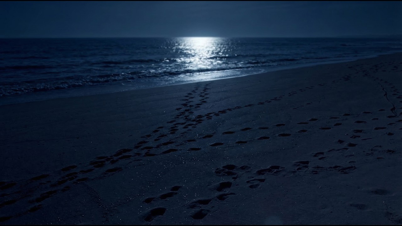 Relaxing Moonlight Beach Ambience with Gentle Ocean Waves for Deep Sleep and Relaxation