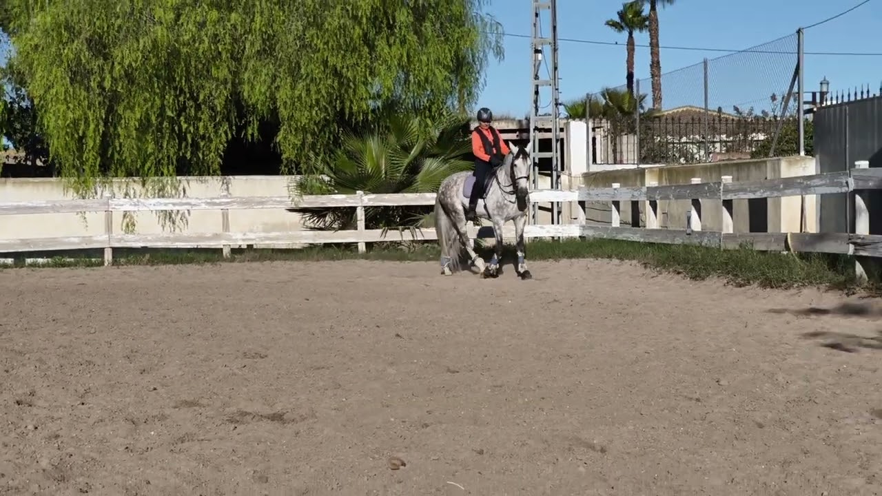 Escultor 