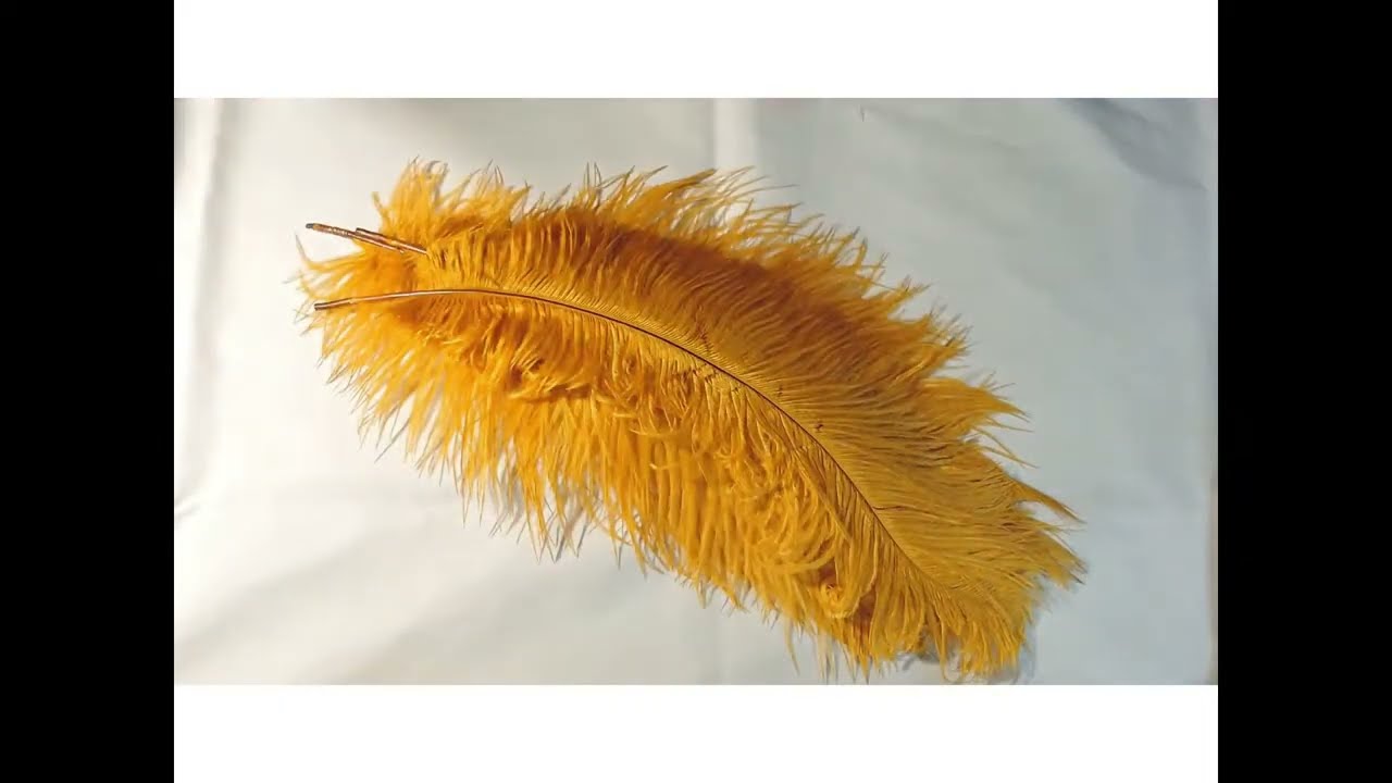 Creating a Multi Feather Curled Plume for Historical Costuming