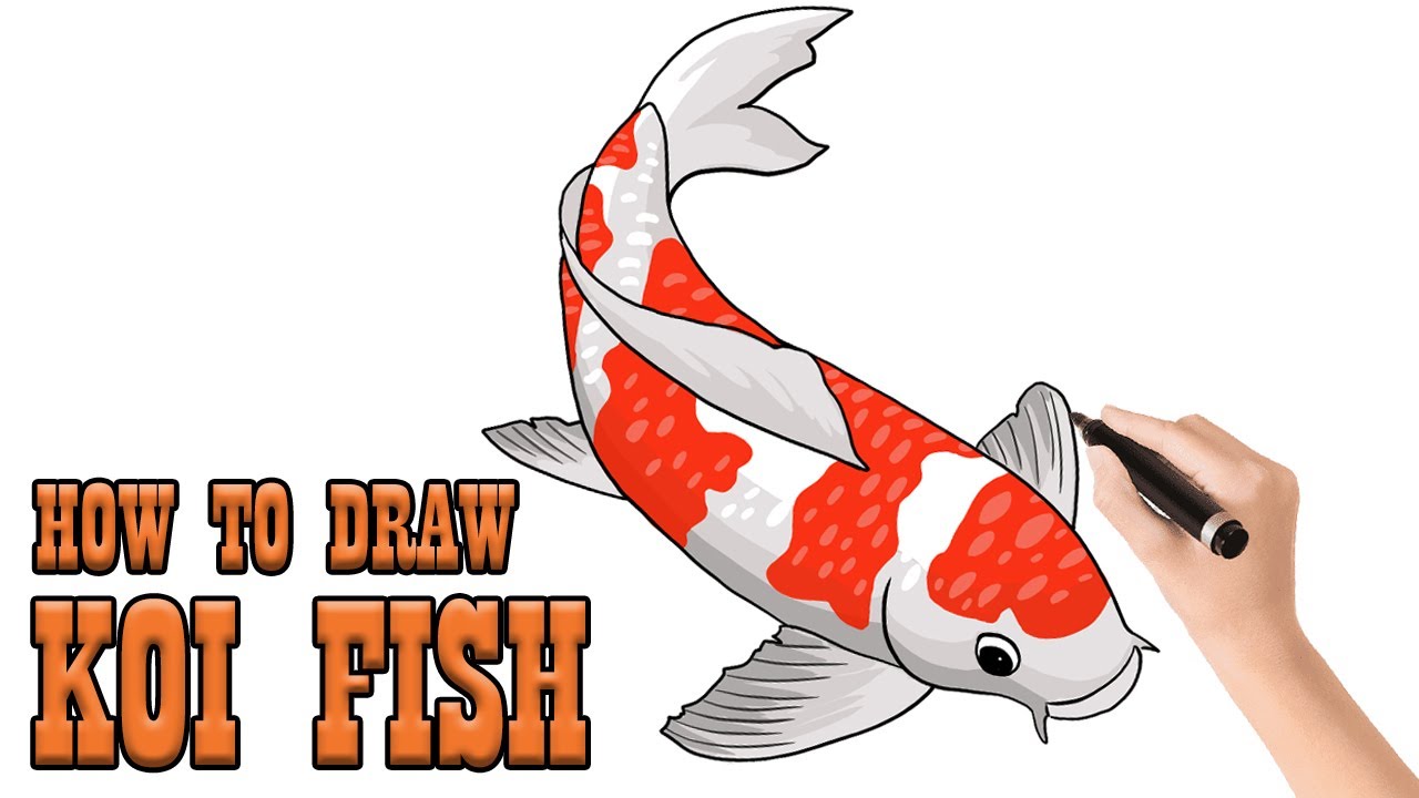 How To Draw KOI FISH | KOI CARP | LINE ARTS Tutorial