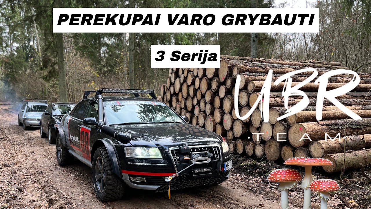UBR Team: PEREKUPAI VARO GRYBAUTI (3 serija)