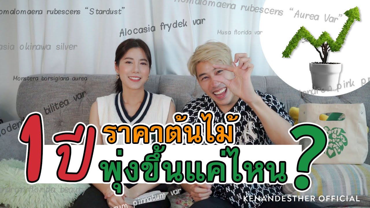 1ปี ราคาต้นไม้ พุ่งขึ้นแค่ไหน? | We Plant | EP13