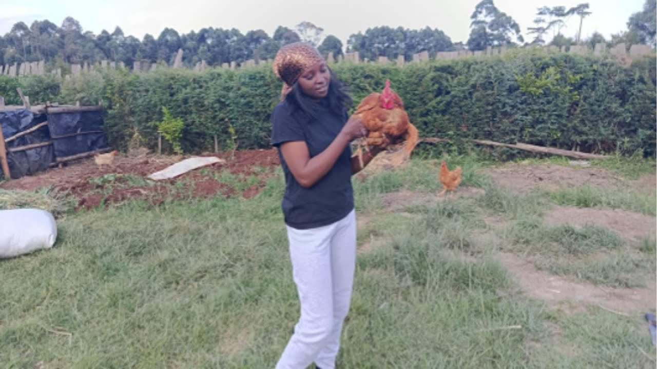 Cooking a Delicious Chicken Dinner in an African Village | Traditional Village Cooking