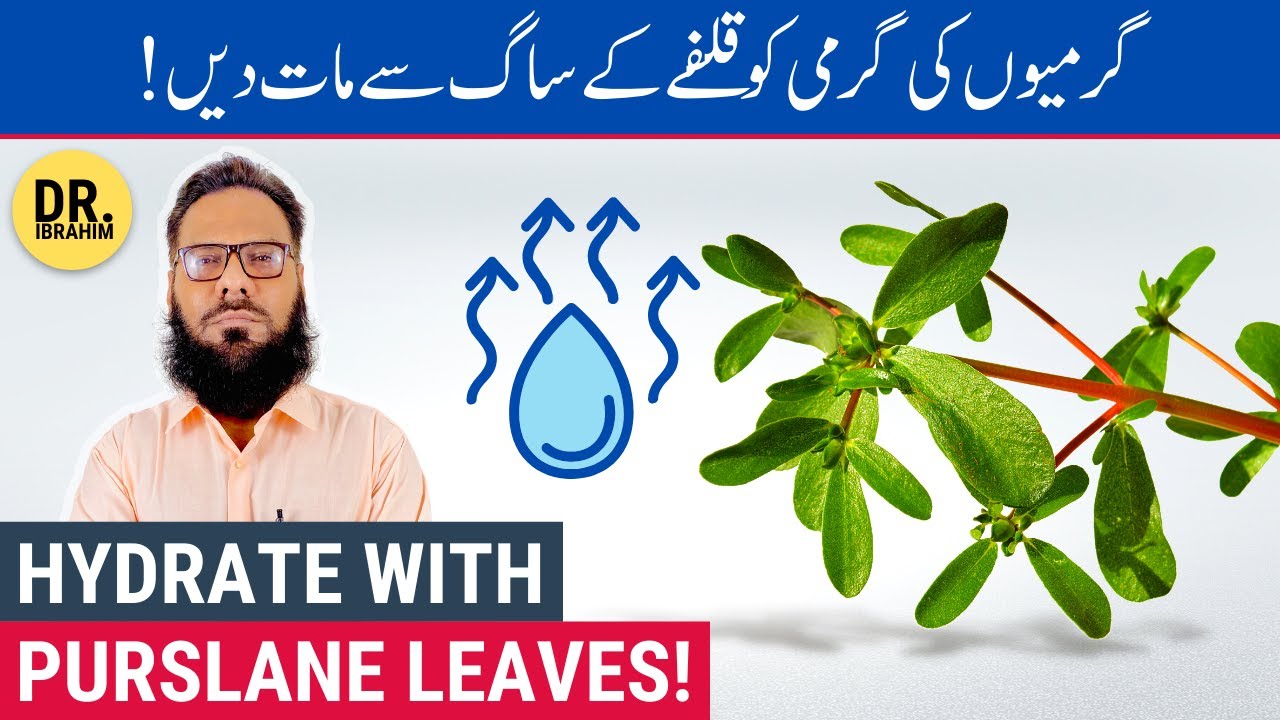 Kulfa Ka Saag Ke Fayde | Beat Heatstroke in Summers | Purslane Leaves Benefits | Urdu/Hindi