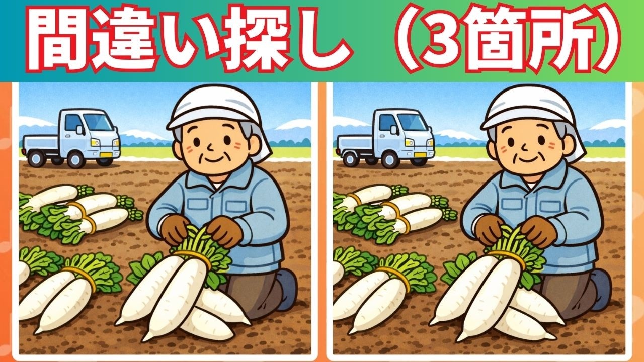 3つの間違いを探す｜間違い探し｜脳を鍛える｜専門家が語る｜このゲームに参加すると脳が20年若返る #24