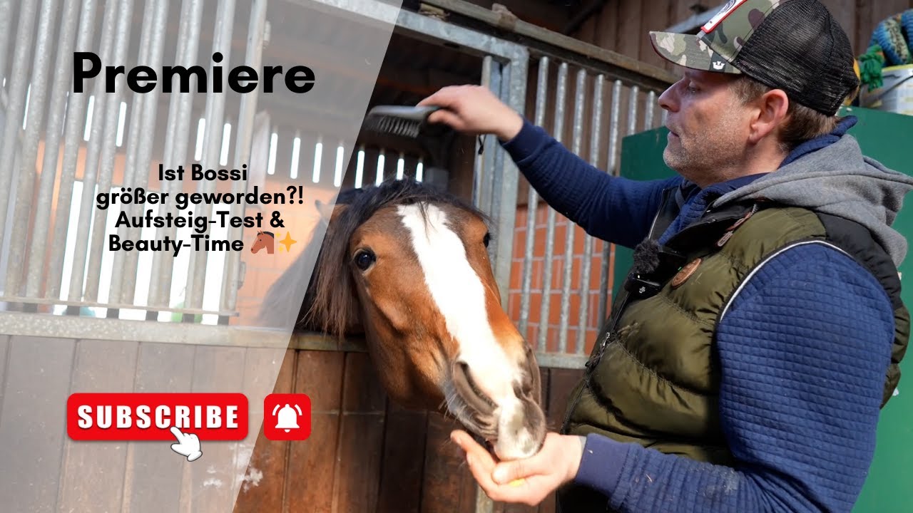 Ist Bossi größer geworden! Aufsteig-Test & Beauty-Time 🐴✨