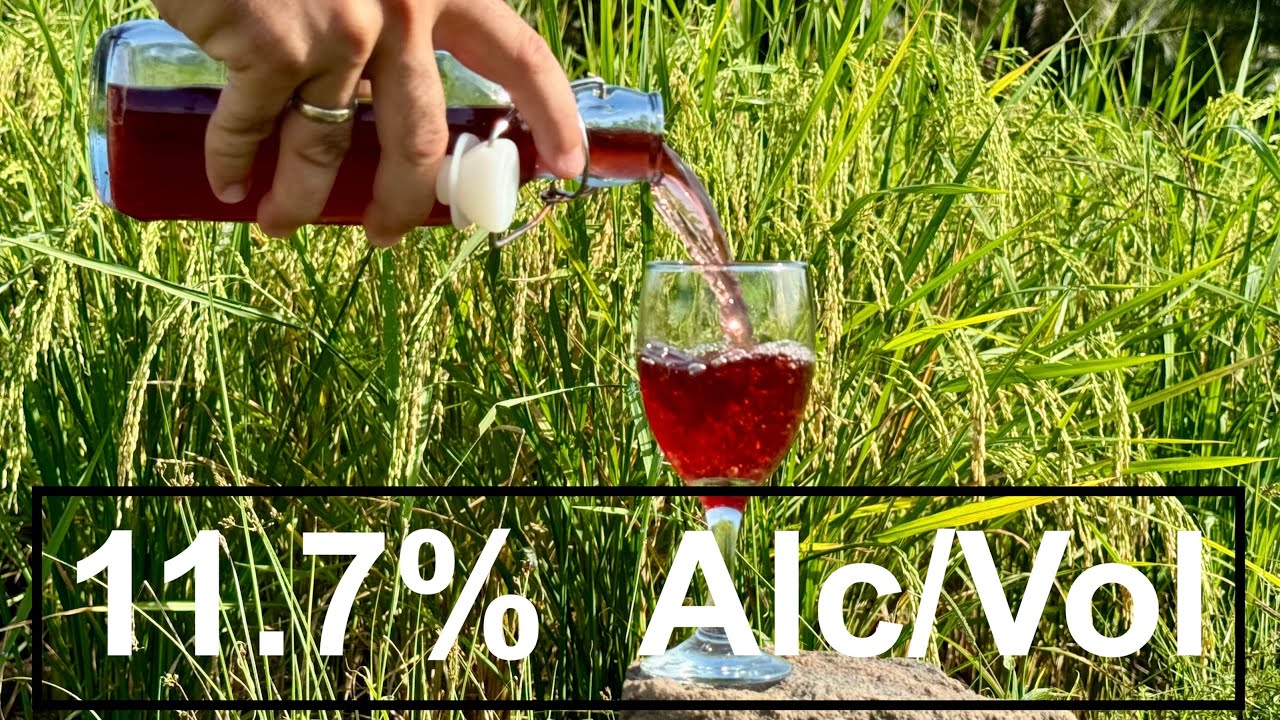 Домашнее рисовое вино с 11,7% алкоголя