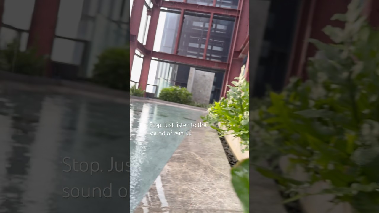Moment of silence 🤫 #шумдождя #шумдлясна #rainsounds #asmr #soundofrain #thailand #bigcity