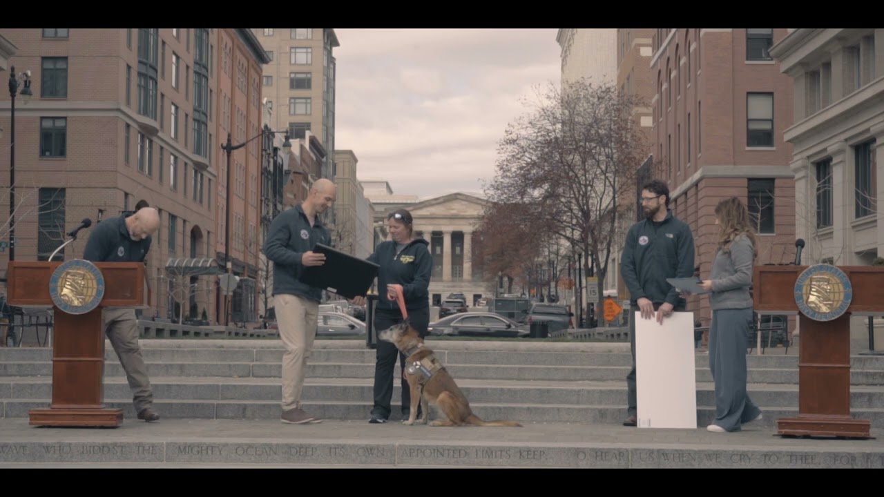 K 9 Veteran’s Day 2023