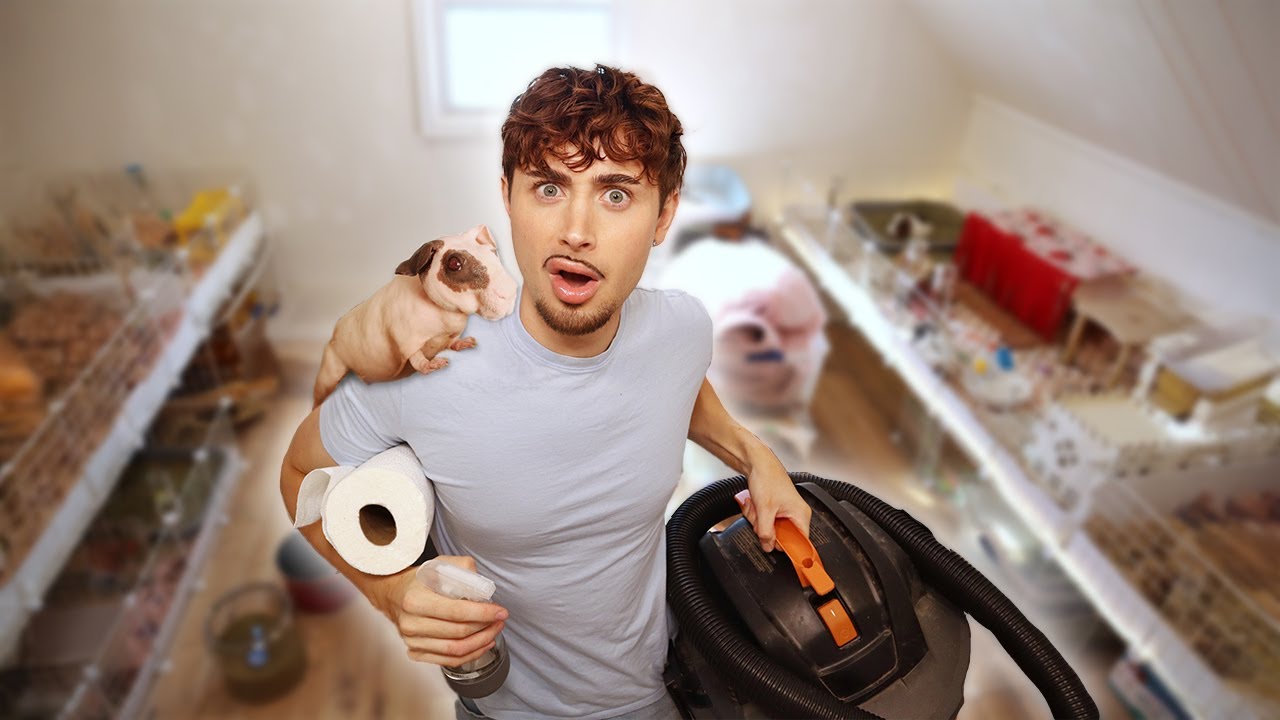 DEEP CLEANING my guinea pig room!