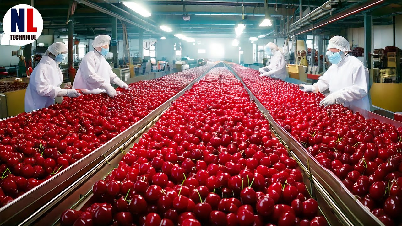 SZALONA Fabryka Wiśni! Jak zebrać i przetworzyć MILIONY ton wiśni 🍒