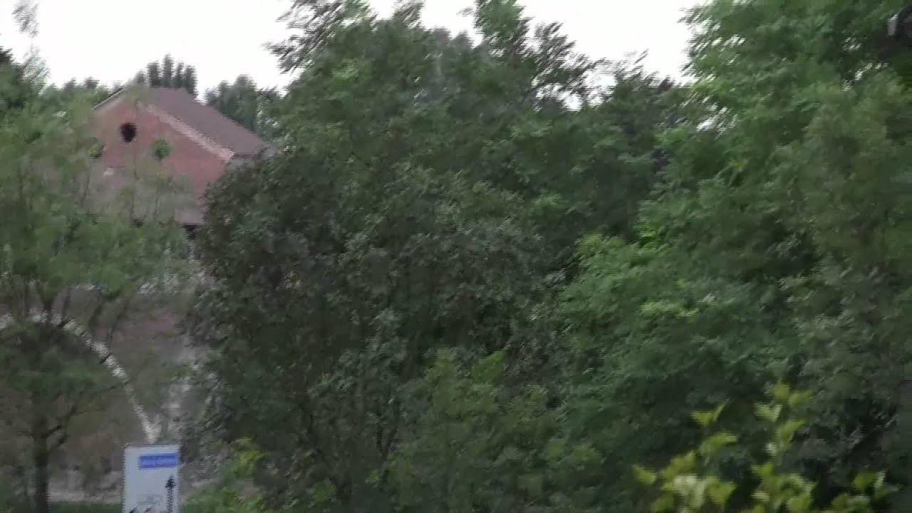 Un'alba a Pavia
