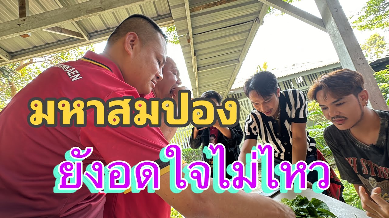 ผมรับไม่ได้จริงๆ ไม่น่าทำกับพี่สมปอง แบบนี้เลย #คายอ้อ  #สาวน้อยเพชรบ้านแพง