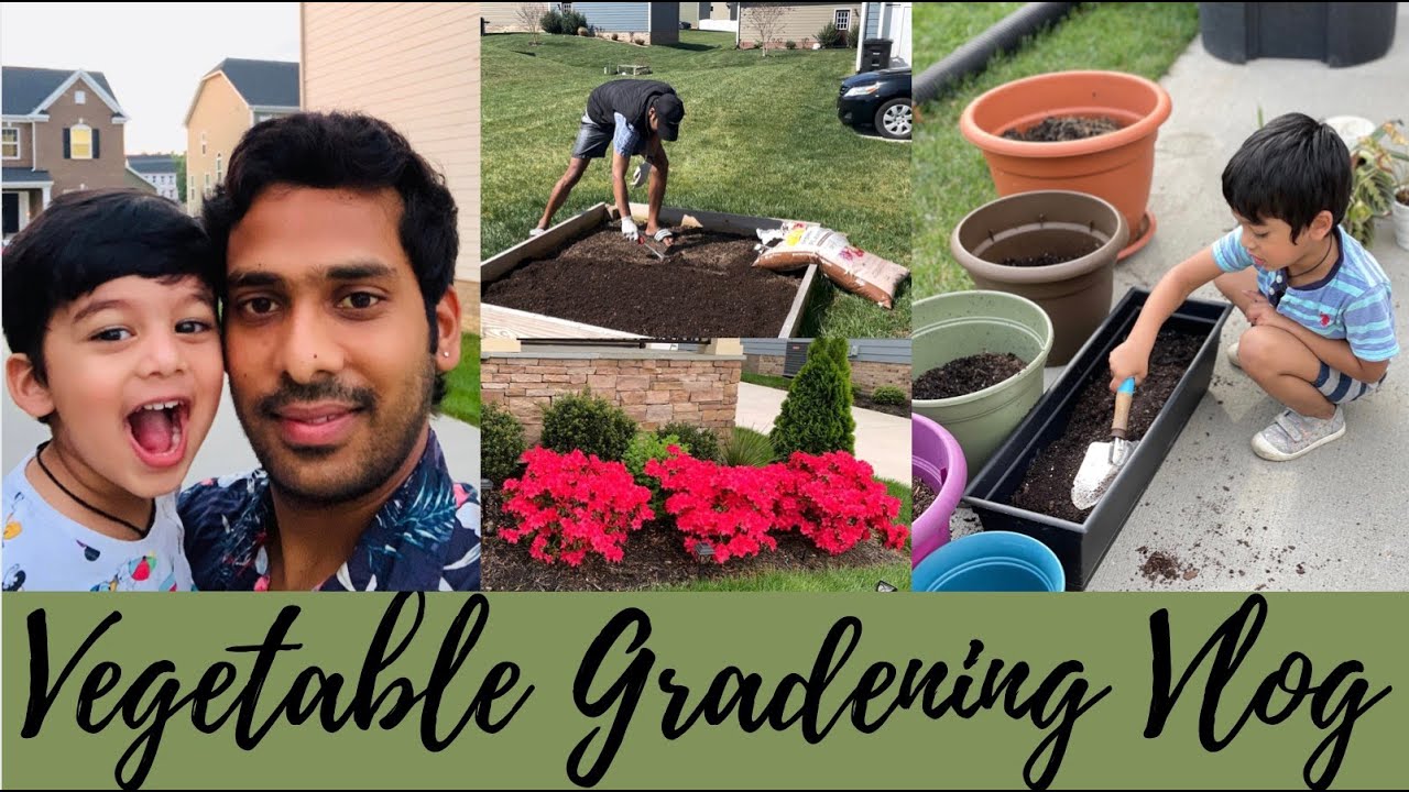 🥕🥬Our Vegetable Garden🍆🍅|| #DIML || #USA || #teluguvlogs || మేము కూరగాయలు ఎలాగా పండించుకుంటాం?? 🥒🫑