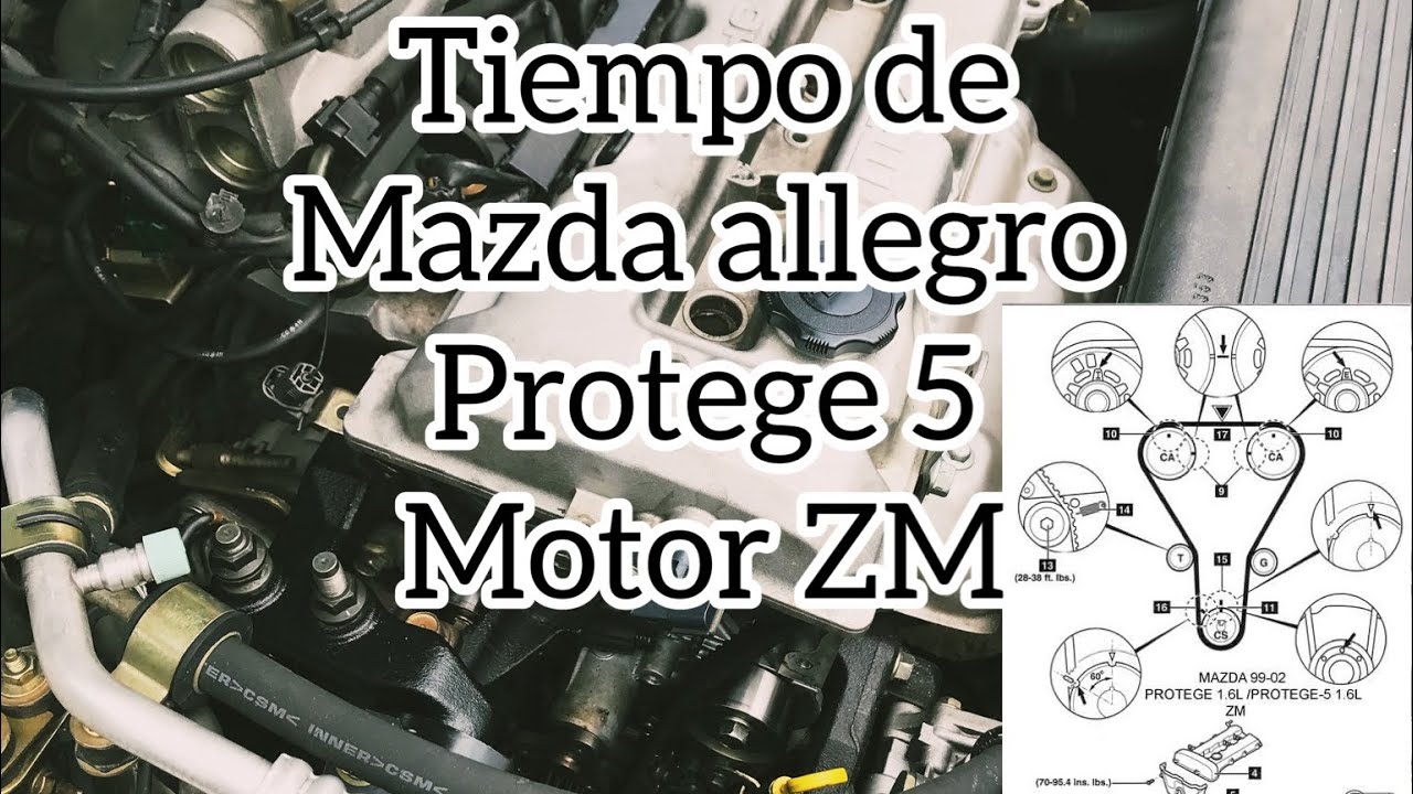 Tiempo de Mazda Allegro 2005, Protege 5 | Motor ZM
