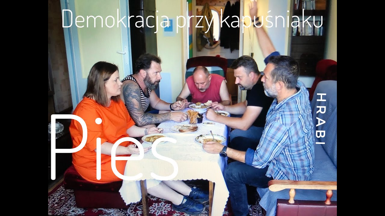 DEMOKRACJA PRZY KAPUŚNIAKU - ODC. 2 - PIES