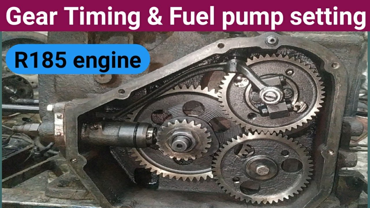 R185 china engine gear timing & fuel pump setting