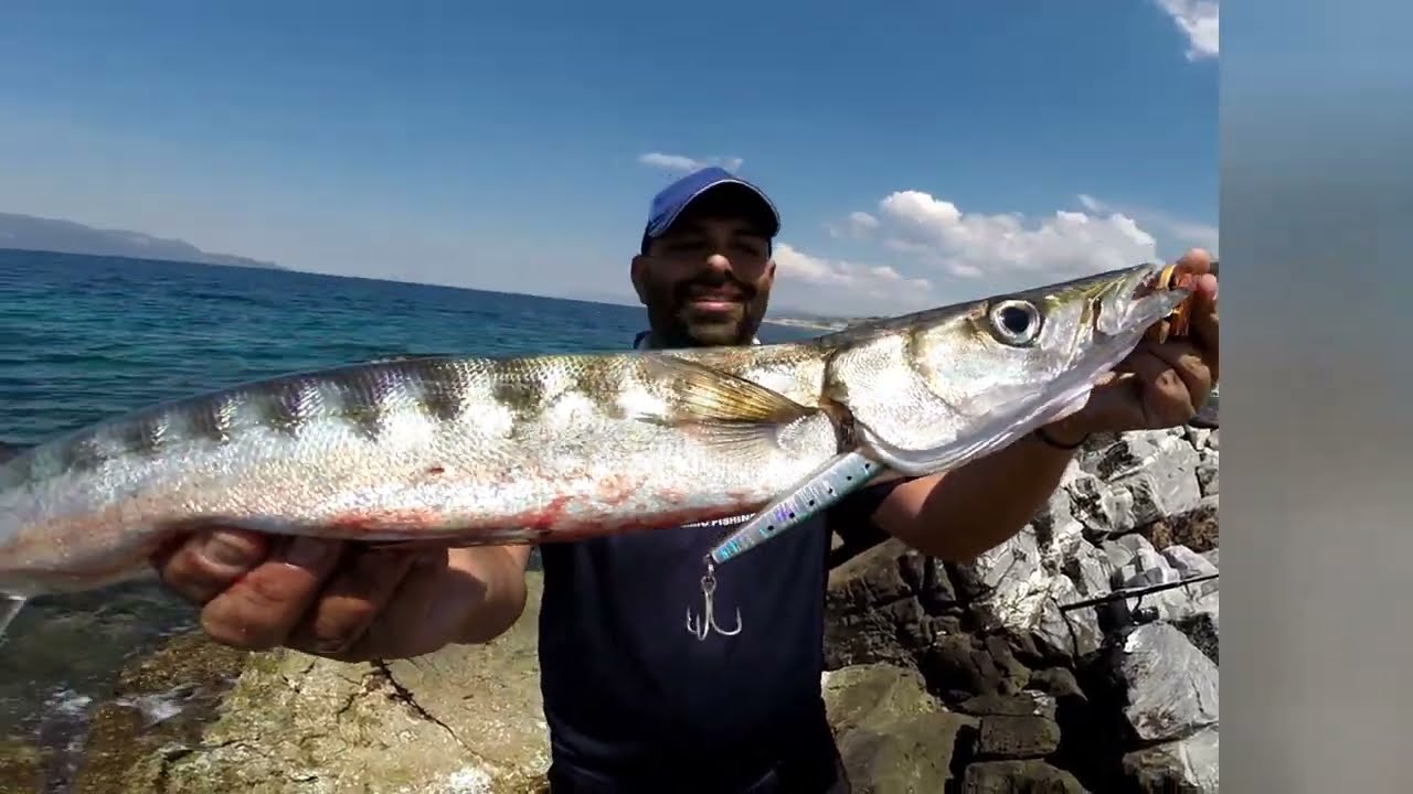 Βρήκαμε ΔΡΑΣΤΗΡΙΑ ΨΑΡΙΑ και έναν κυκλώνα από ΑΠΙΑΣΤΑ ΓΟΦΑΡΙΑ feat. ΣΤΑΥΡΟΣ ΑΡΓΥΡΗΣ#tailwalk
