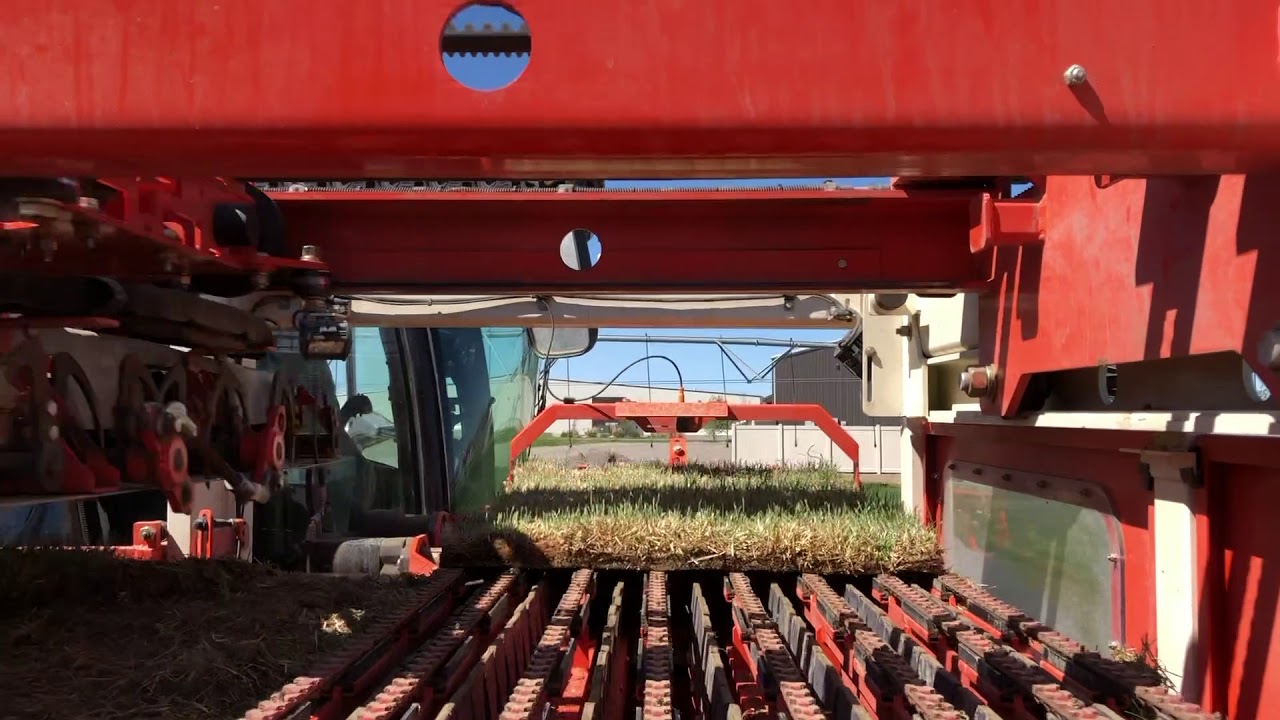 Trebro TSS Automatic Slab harvester AMAZING! FAST! RELIABLE!