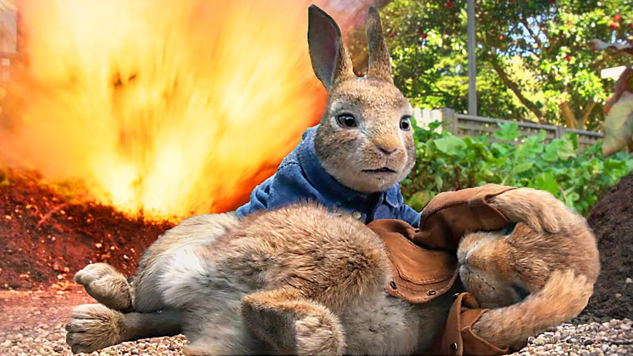 Escenas de alboroto de Crazy Rabbit 🌀 4K