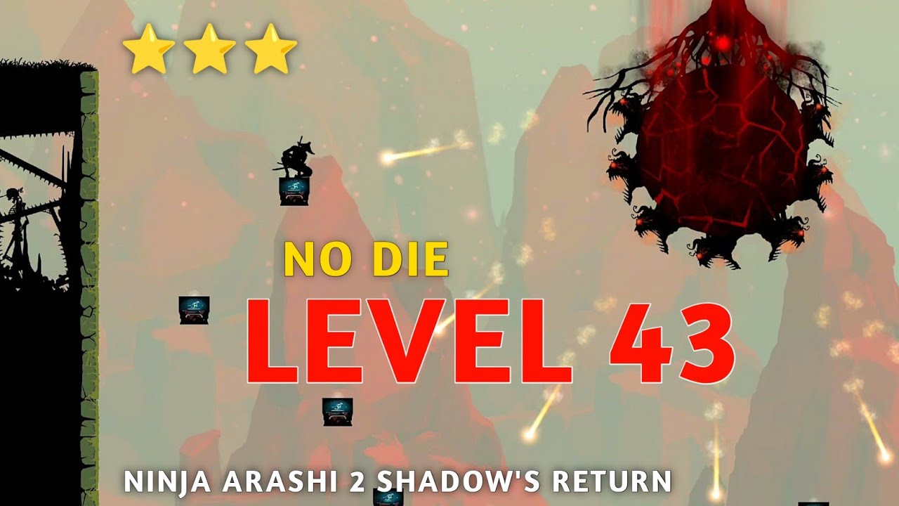 Ninja Arashi 2 Shadow's Return Level 43