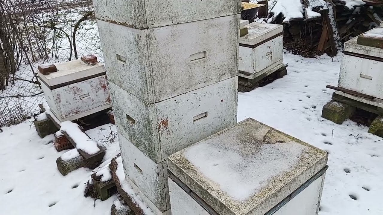 Об оптимальной влажности при зимовке на подсолнечном меду.   Ч. 1.