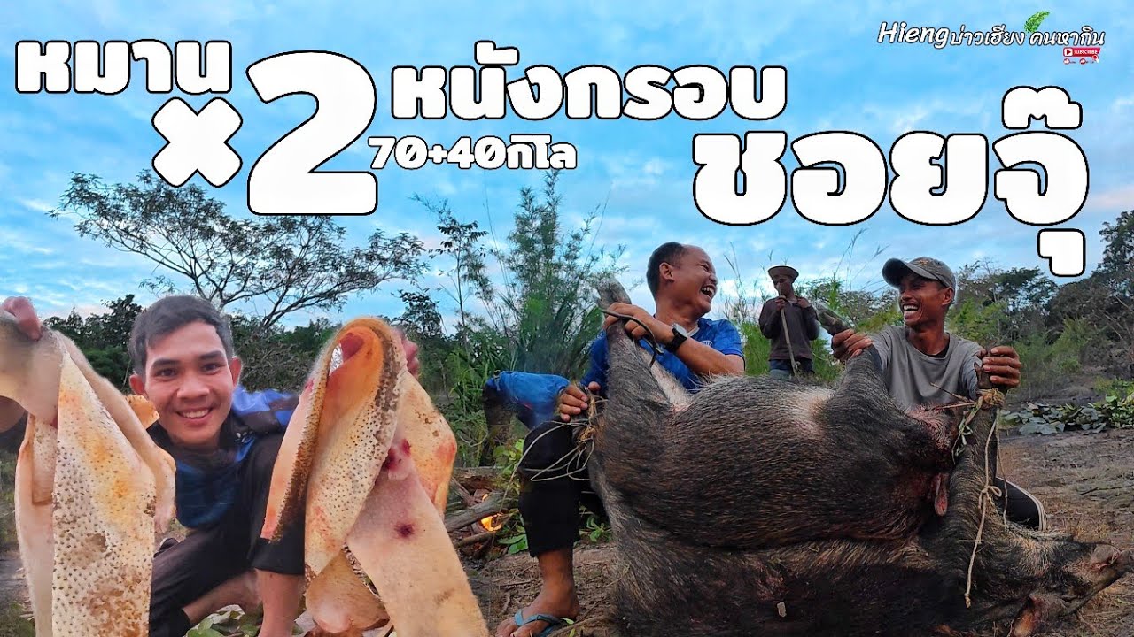 หมานหมูป่าสองตัว100กิโล กว่า หนังกรอบชอยจุ๊ ทำเนื้อย่างรมควัน//ຫມານຫມູປ່າສອງໂຕ Hieng บ่าวเฮียง