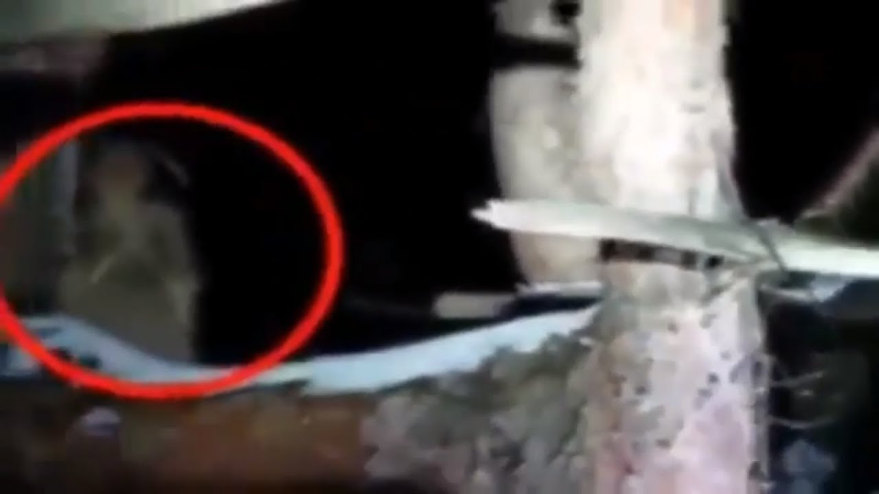 Top 10 Ghost Accidentally caught on Camera In Forest
