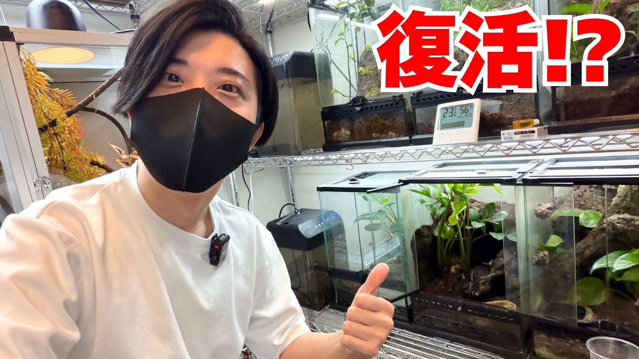 1/100,000の出現率と言われる超希少な生き物が復活し始めました...！