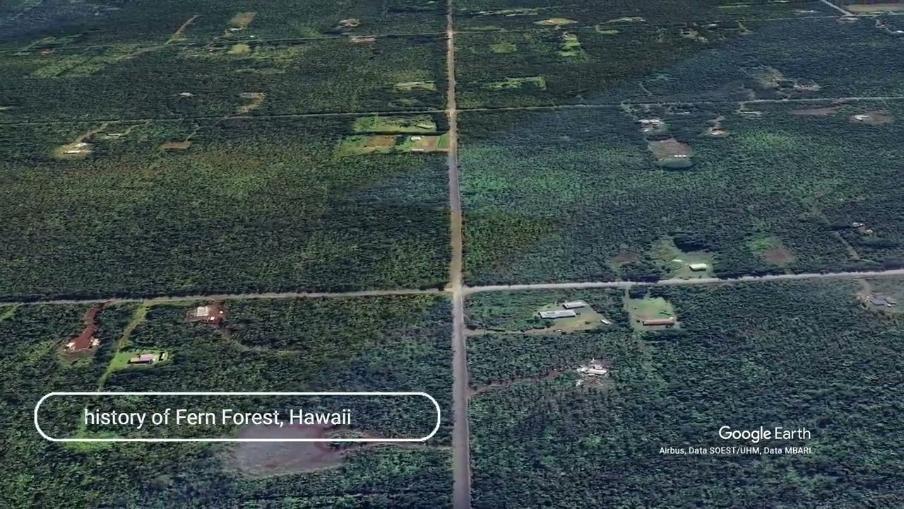 The history of Fern Forest, Hawaii