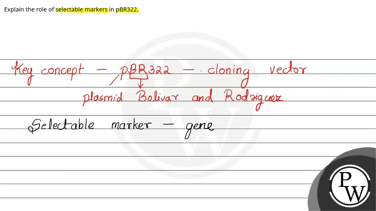 Explain the role of selectable markers in pBR322.....