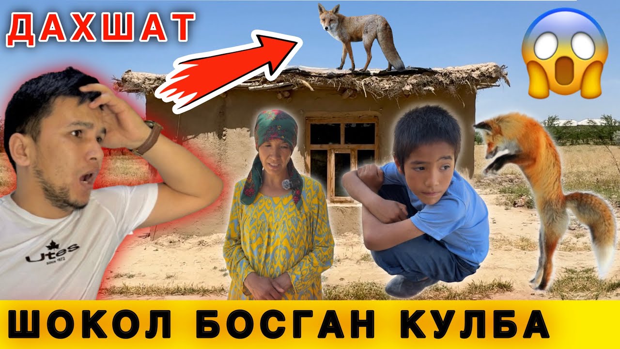 😱 Дахшат. Дала ичидаги Кулбада яшаётган Келинчак. Шоқоллар билан яшайди😳