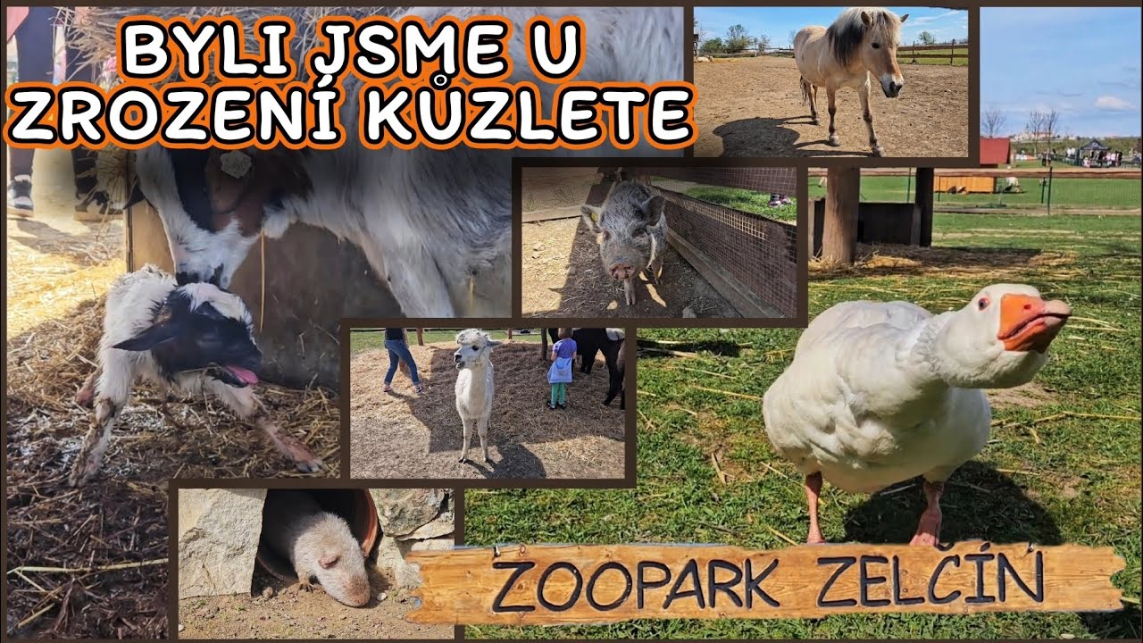 NEJvětší kontaktní ZOOpark v ČR /  Zoopark Zelčín u Mělníka
