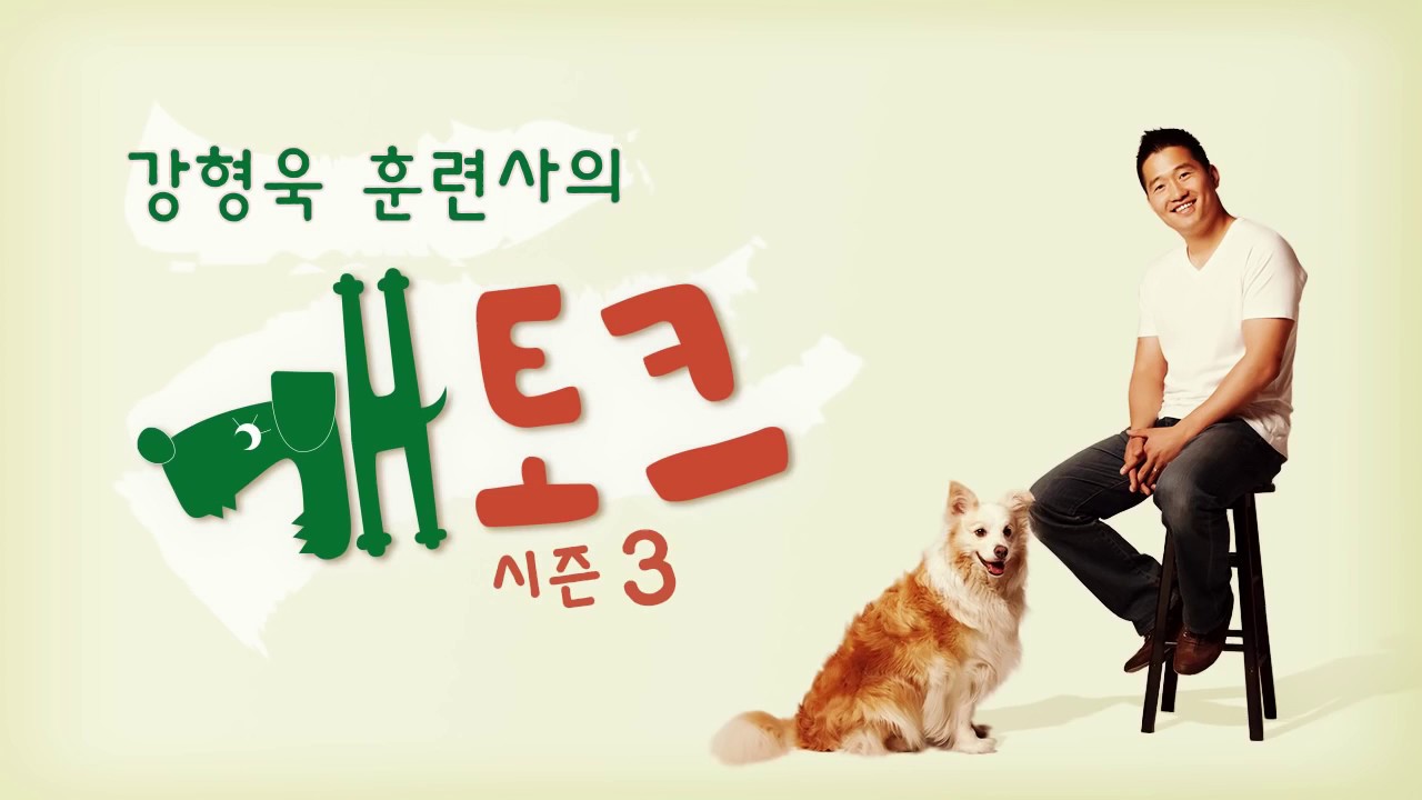 [개토크 시즌3] 강형욱 훈련사의 개토크 시즌3 #1 쵸크체인에 대한 토크