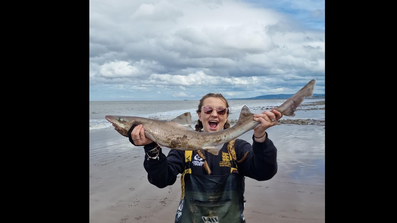 Great day sea fishing at White Mark Bristol Channel! ON the hounds