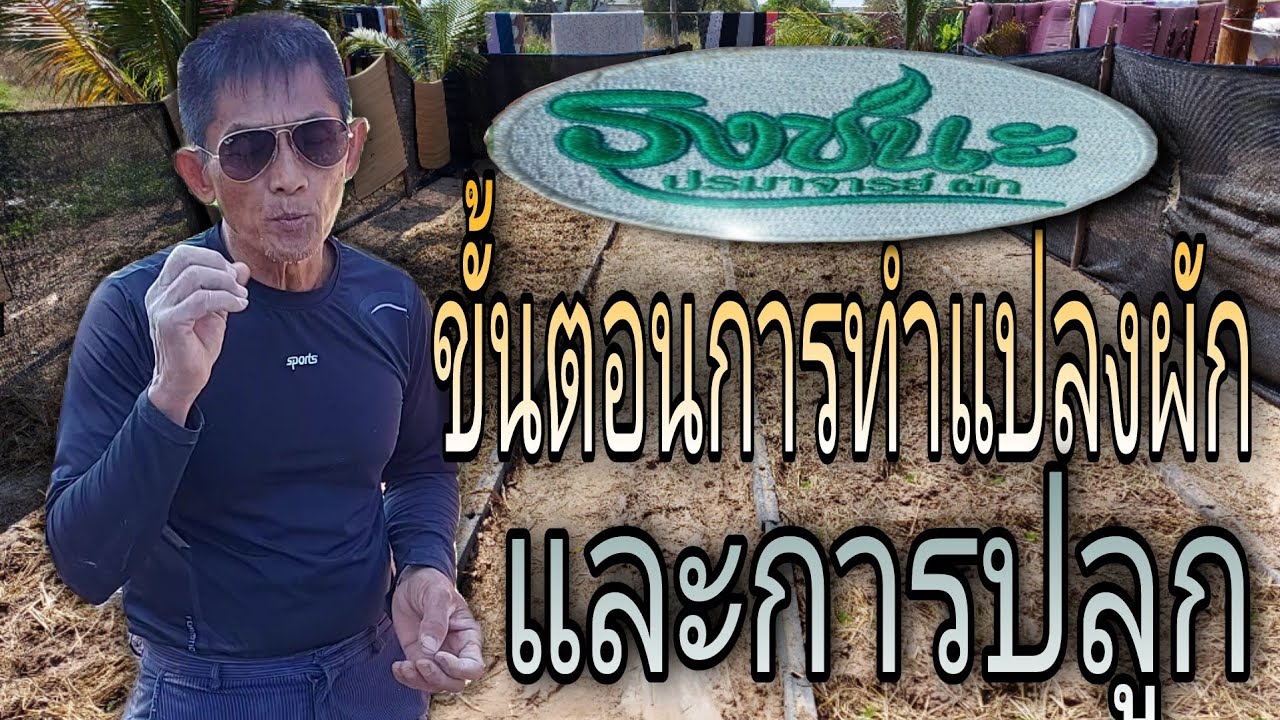 แปลงผัก กับขั้นตอนการปลูกที่ต้องเข้าใจ https://www.youtube.com/c/วิชัยหรือธงชนะพรหมมิ