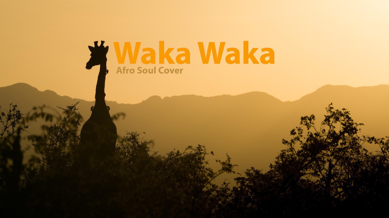 Remix 🔥 Waka Waka – Afro Soul Cover 🎶 #music #wakawaka #shakira #africa #remix