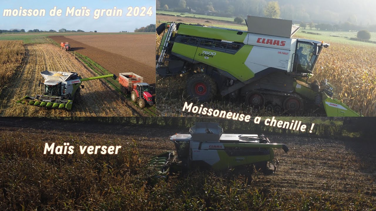 Moisson de Maïs grain réaliser par la SARL Fabulet | claas | lexion | terra-track | 7600 |