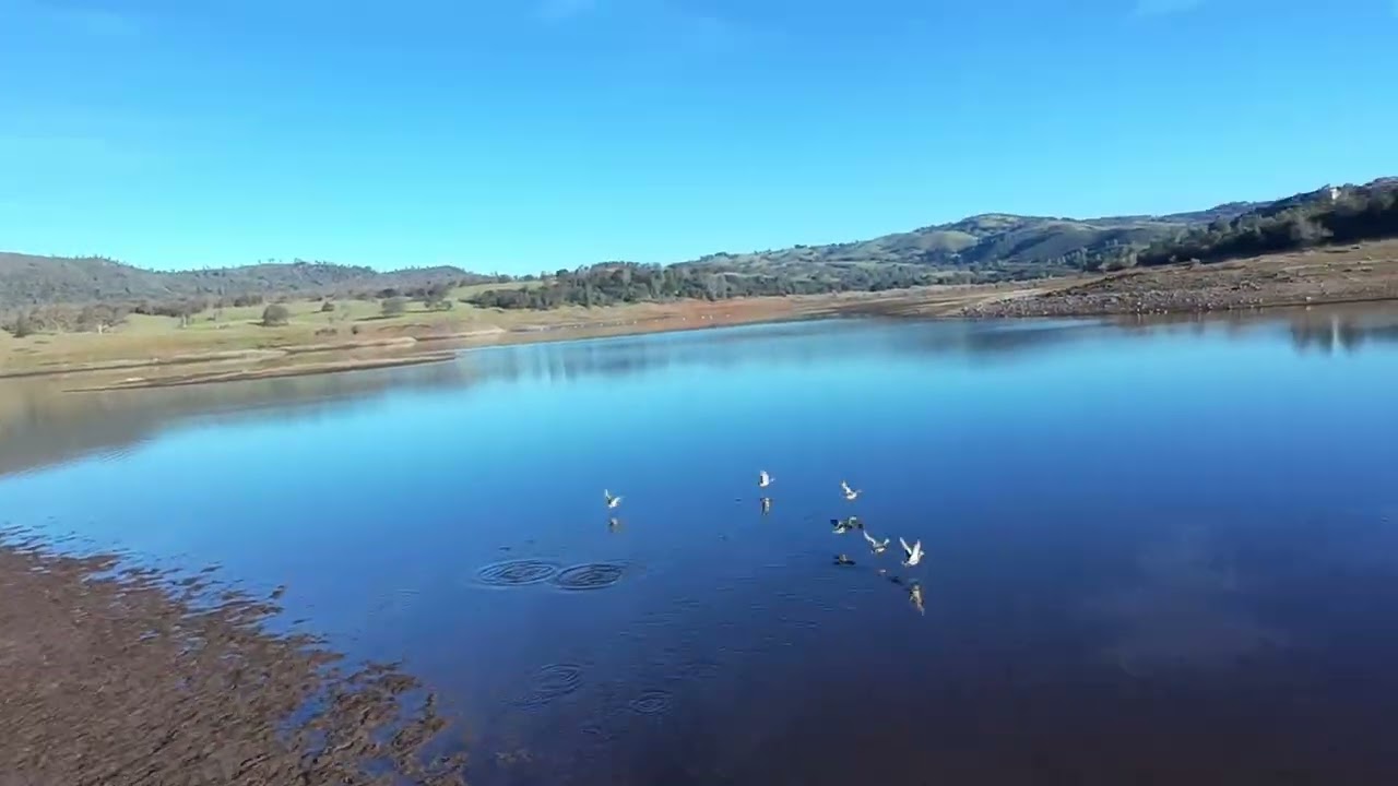 Dji Neo